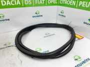 Türgummis Links Hinten 9025L0 Citroën C3 Picasso (SH) Großraumlimousine 1.2 12V PureTech 110 (EB2DT(HNZ)) 2015-07