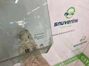 Türscheibe Rechts 9816478080 Peugeot Partner (EF/EU) Van 1.5 BlueHDi 100 (DV5RD(YHY)) 2019-08