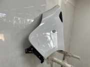 Kotflügel Links Vorne 631016242R Renault Trafic (1FL/2FL/3FL/4FL) Van 1.6 dCi 125 Twin Turbo (R9M-452(R9M-D4)) 2018-01