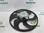 Kühlerventilatormotor 7701068310 Renault Twingo II (CN) Schrägheck 3-drs 1.2 (D7F-800) 2009-07