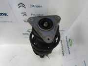Federbein Links Vorne 8200556694 Renault Clio IV Estate/Grandtour (7R) Kombi 5-drs 1.5 Energy dCi 75 FAP (K9K-612(K9K-C6)) 2013-07