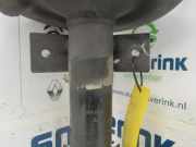 Federbein Links Vorne 543029774R Renault Master III (MA/MB/MC/MD/MH/MF/MG/MH) Van 2.3 dCi 16V (M9T-B6) 2011-04