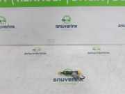 Kraftstoff-Injector 166008494R Renault Captur II (RJB) SUV 1.0 TCe 12V (H4D-450(H4D-B4)) 2020-08