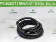 Türgummis Links Vorne 9830829080 Opel Astra L (F3/FB/FM/FP) Schrägheck 5-drs 1.6 Plug-in Hybrid Turbo 16V (EP6FADTXHPE(DGX)) 2022-11