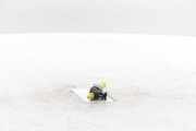 Kraftstoff-Injector 05E906036K Volkswagen Tiguan (CT1) SUV 1.5 eHybrid 272 (DUCA) 2025-08 DUCA