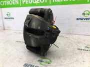 Bremssattel Rechts Vorne ABS 9824176680 Peugeot 208 II (UB/UH/UP) Schrägheck 5-drs 1.2 Vti 12V PureTech 100 (EB2ADTDB(HNE)) 2022-06