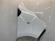 Kotflügel Rechts Vorne 631001616R Renault Trafic (1FL/2FL/3FL/4FL) Van 1.6 dCi 90 (R9M-A402) 2015-01