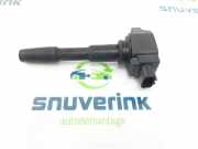 Zündspule 224332428R Dacia Dokker (0S) Großraumlimousine 1.6 16V LPG (H4M-D729) 2017-07