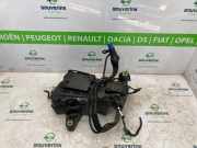 Adblue Behälter 9832421480 Peugeot Partner (EF/EU) Van 1.5 BlueHDi 130 (DV5RC(YHZ)) 2024-04
