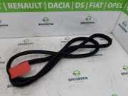 Türgummis Links Hinten 9816902580 Citroën C5 Aircross I (A4/AC/AJ/AR) SUV 1.2 e-THP PureTech 130 (EB2ADTS(HNS)) 2022-12