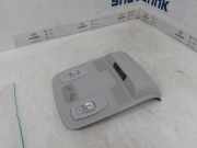 Innenbeleuchtung Vorne 969804882R Renault Megane IV Estate (RFBK) Kombi 5-drs 1.3 TCE 115 16V (H5H-470(H5H-B4)) 2019-03