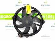 Kühlerventilatormotor 214810898R Renault Megane III Grandtour (KZ) Kombi 1.5 dCi 110 (K9K-J836) 2012-12