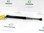 Gasdruckfedern Set Hinten 904508505R Renault Captur (2R) SUV 1.2 TCE 16V EDC (H5F-408(H5F-F4)) 2017-04