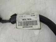 Kabelbaum 9675824080 Peugeot 206+ (2L/M) Schrägheck 1.4 XS (TU3A(KFT)) 2012-06