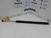 Gasdruckfedern Set Hinten 8200021975 Renault Espace (JK) Großraumlimousine 2.0 dCi 16V 130 FAP (M9R-740) 2007-10