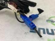 Antenne 28269786R Dacia Duster (DJF) SUV 1.2 TCE 130 12V Mild Hybrid 4x2 (H5F-A6) 2024-11