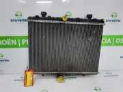 Radiator 1401279580 Citroën Jumpy (G9) Van 2.0 HDiF 16V 125 (DW10CD(AHZ)) 2014-07