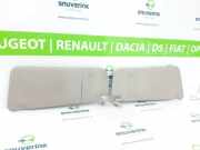 Sonnenblende 8143SL Peugeot Expert (G9) Van 2.0 HDiF 16V GT (DW10CTED4(RHH)) 2010-03