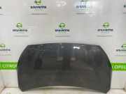 Motorhaube 66400 Hyundai i20 Schrägheck 1.4i 16V (G4FA) 2014-06