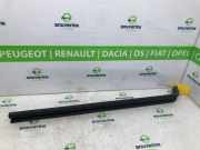 Schiebetür Schiene Rechts 93867636 Renault Trafic (1FL/2FL/3FL/4FL) Van 1.6 dCi 90 (R9M-A402) 2016-06