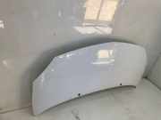 Motorhaube 7751477649 Renault Twingo II (CN) Schrägheck 3-drs 1.2 16V (D4F-770) 2012-06