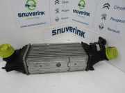 Ladeluftkühler 0384G9 Citroën C5 Berline (RC) Schrägheck 2.2 HDiF 16V (DW12TED4(4HX)) 2005-07