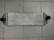 Ladeluftkühler 7700312903 Nissan Primastar Bus 1.9 dCi 100 (F9Q-760) 2003-10