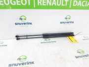 Gasdruckfedern Set Hinten 904505213R Renault Clio V (RJAB) Schrägheck 5-drs 1.0 TCe 90 12V (H4D-470(H4D-E4)) 2022-04