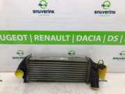 Ladeluftk?hler 8200427469 Renault Kangoo Express (FW) Van 1.5 dCi 70 (K9K-840(Euro 4)) 2008-06