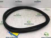 Türgummis Rechts Vorne Peugeot Partner Tepee (7A/B/C/D/E/F/G/J/P/S) Großraumlimousine 1.6 16V Phase 1 (TU5JP4(NFU)) 2008-07