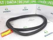 Türgummis Links Vorne 9811537480 DS DS 7 Crossback SUV 1.6 16V E-Tense 225 (EP6FADTXHPD(DGZ)) 2023-01 EP6FADTXHPD(DGZ)