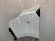 Kotflügel Links Vorne 631016242R Renault Trafic (1FL/2FL/3FL/4FL) Van 2.0 dCi 16V 145 (M9R-V7) 2021-01