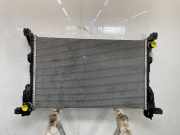 Radiator 214106419R Renault Trafic (1FL/2FL/3FL/4FL) Van 2.0 dCi 16V 145 (M9R-V7) 2021-01