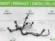 Kurbelgehäuseentlüftung C 118267807R Renault Clio V (RJAB) Schrägheck 5-drs 1.0 TCe 90 12V (H4D-470(H4D-E4)) 2022-12