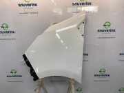 Kotflügel Links Vorne 631014221R Renault Trafic (1FL/2FL/3FL/4FL) Van 2.0 dCi 16V 170 (M9R-717) 2024-06