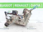 Katalysator 208A02744R Dacia Duster (SR) SUV 1.0 TCE 100 Bi-Fuel, Eco-G 12V (H4D-480(H4D-F4)) 2021-04