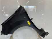 Kotflügel Rechts Vorne 7701477874 Renault Twingo II (CN) Schrägheck 3-drs 1.2 (D7F-800) 2008-10