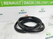 Türgummis Links Hinten 9815699180 DS DS 7 SUV 1.6 16V E-Tense 300 4x4 (EP6FADTXHPA(5GB)) 2023-09 EP6FADTXHPA(5GB)