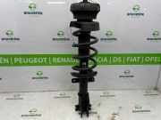 Federbein Links Vorne 543023941R Renault Trafic (1FL/2FL/3FL/4FL) Van 2.0 dCi 16V 130 (M9R-714(M9R-Z7)) 2023-02
