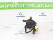 Wasserpumpe 210100113R Renault Trafic (1FL/2FL/3FL/4FL) Van 2.0 dCi 16V 120 (M9R-710(M9R-V7)) 2020-11