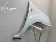 Kotfl?gel Rechts Vorne 631009162R Renault Kangoo Express (FW) Van 1.5 dCi 70 (K9K-840(Euro 4)) 2009-07