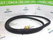 Türgummis Links Vorne 9813059580 Citroën C3 (SX/SW) Schrägheck 1.2 12V e-THP PureTech 110 (EB2ADT(HNP)) 2019-03