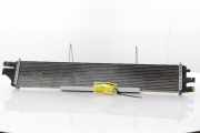 Radiator 214C10001R Renault Master III (FV) Van 2.3 dCi 165 16V FWD (M9T-708) 2015-02