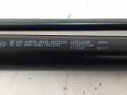 Gasdruckfedern Set Hinten 904518604R Renault Twingo III (AH) Schrägheck 5-drs 0.9 Energy TCE 90 12V (H4B-C4) 2017-09