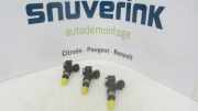 Kraftstoff-Injector 166008740R Renault Clio IV Estate/Grandtour (7R) Kombi 5-drs 0.9 Energy TCE 12V (H4B-A400(Euro 6)) 2013-06