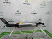 Rußpartikelfilter 9808561380 Opel Vivaro Van 2.0 CDTI 122 (D20DTL(DW10FE)) 2020