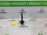 Zündspule 224332935R Renault Kadjar (RFEH) SUV 1.3 TCE 140 FAP 16V (H5H-470(H5H-B4)) 2019-11