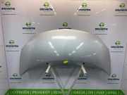 Motorhaube 7751477649 Renault Twingo II (CN) Schrägheck 3-drs 1.2 (D7F-800) 2007-10