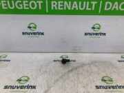 Parken-Sensoren 9813348377 Opel Corsa F (UB/UH/UP) Schrägheck 5-drs 1.2 12V 75 (F12XEL(EB2FD)) 2021-04