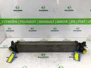 Ladeluftkühler 1382428080 Peugeot Boxer (U9) Van 2.2 HDi 110 Euro 5 (P22DTE(4HG)) 2016-01